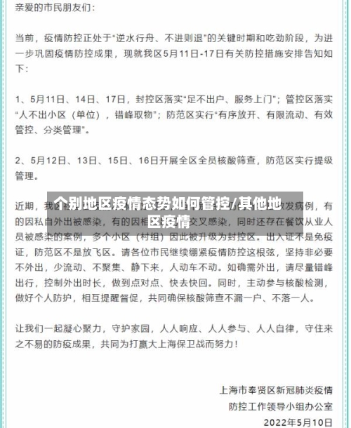 个别地区疫情态势如何管控/其他地区疫情