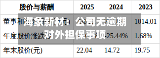 海象新材：公司无逾期对外担保事项