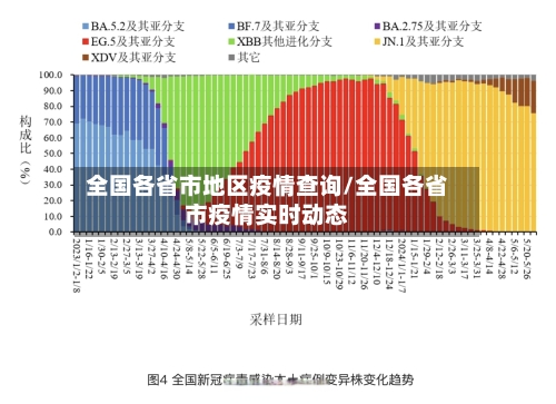 全国各省市地区疫情查询/全国各省市疫情实时动态