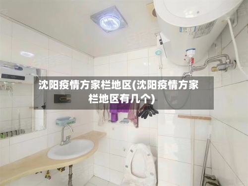 沈阳疫情方家栏地区(沈阳疫情方家栏地区有几个)