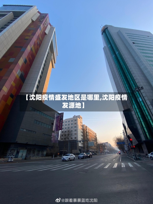 【沈阳疫情盛发地区是哪里,沈阳疫情发源地】