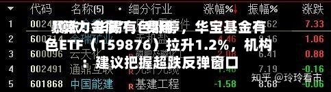 “算力金属”，费用暴涨！华锡有色涨停，华宝基金有色ETF（159876）拉升1.2%，机构：建议把握超跌反弹窗口