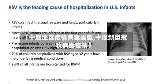 【十堰地区疫情病毒类型,十堰新型冠状病毒疫情】