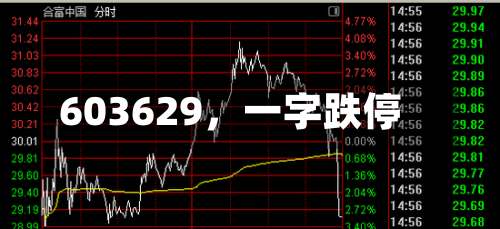 603629，一字跌停