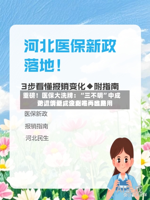 重磅！医保大洗牌：“三不明”中成药遭清退，谈判不再唯费用论，创新成企业唯一出路