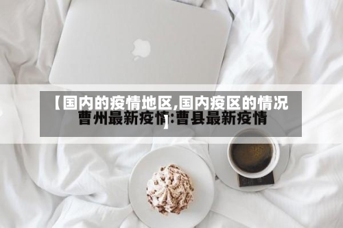 【国内的疫情地区,国内疫区的情况】