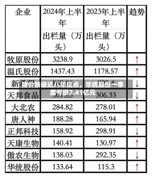 猪价跌破近八年低点，华统股份一季度亏损2.41亿元