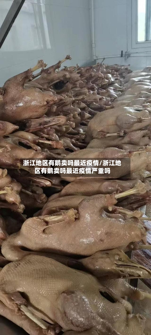浙江地区有鹅卖吗最近疫情/浙江地区有鹅卖吗最近疫情严重吗