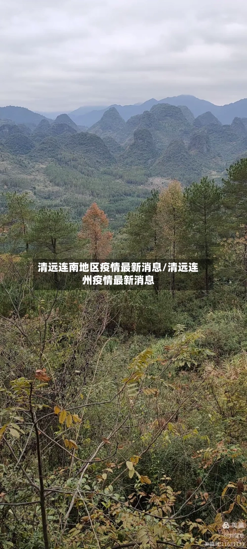 清远连南地区疫情最新消息/清远连州疫情最新消息