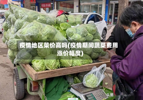 疫情地区菜价高吗(疫情期间蔬菜费用涨价幅度)