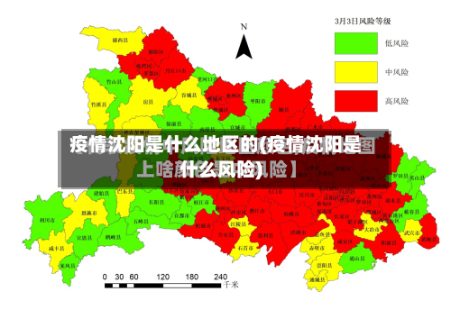 疫情沈阳是什么地区的(疫情沈阳是什么风险)