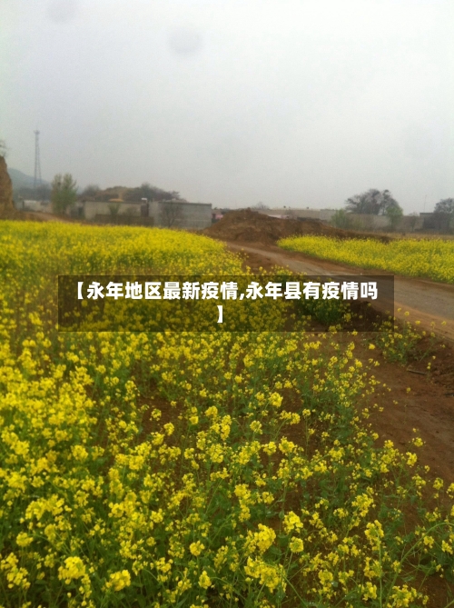 【永年地区最新疫情,永年县有疫情吗】