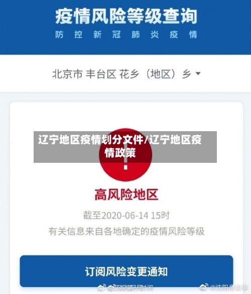 辽宁地区疫情划分文件/辽宁地区疫情政策