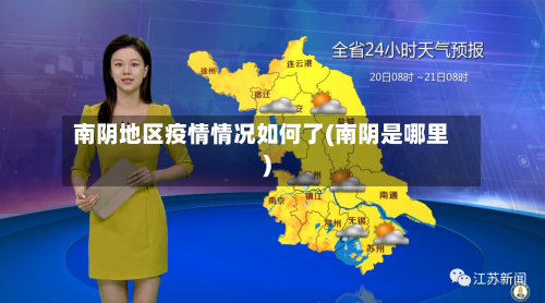 南阴地区疫情情况如何了(南阴是哪里)