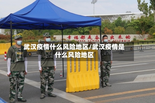 武汉疫情什么风险地区/武汉疫情是什么风险地区