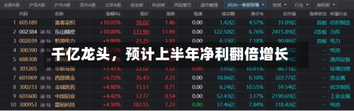 千亿龙头，预计上半年净利翻倍增长