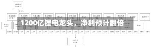 1200亿锂电龙头，净利预计翻倍