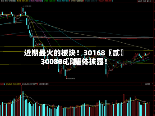 近期最火的板块！30168〖贰〗、30080〖陆〗、300136，集体披露！
