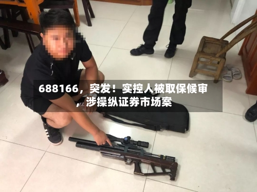688166，突发！实控人被取保候审，涉操纵证券市场案