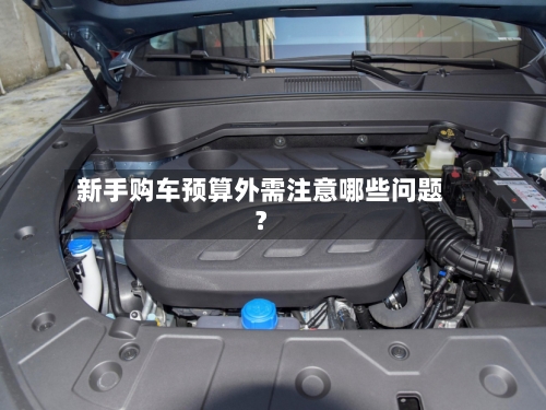新手购车预算外需注意哪些问题？