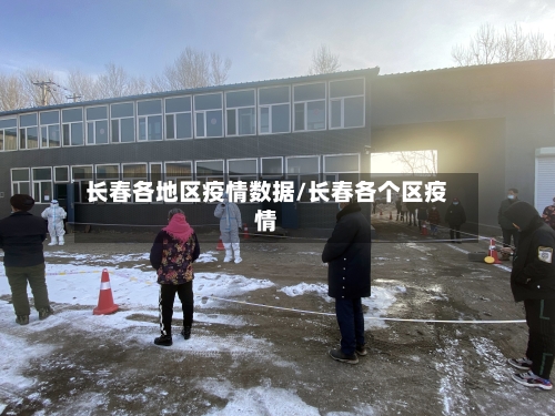 长春各地区疫情数据/长春各个区疫情