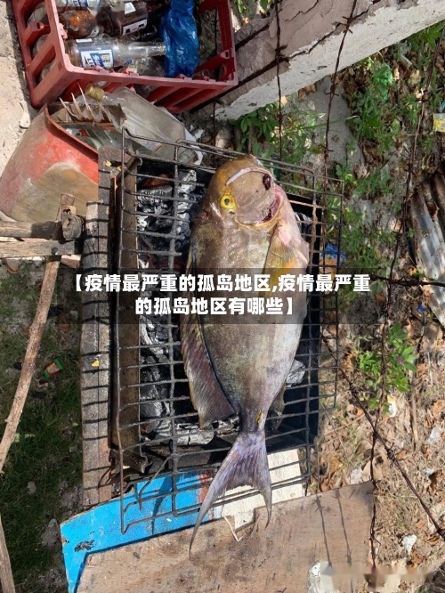 【疫情最严重的孤岛地区,疫情最严重的孤岛地区有哪些】