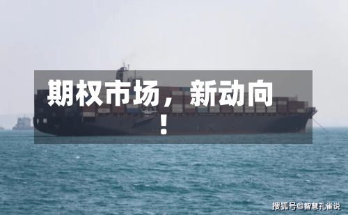 期权市场，新动向！