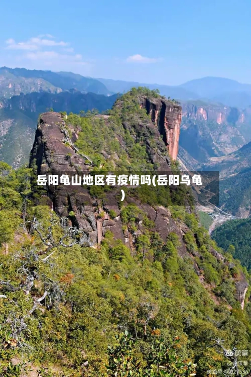 岳阳龟山地区有疫情吗(岳阳乌龟)