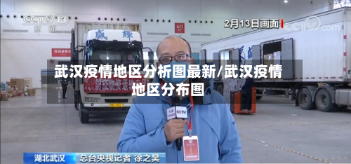 武汉疫情地区分析图最新/武汉疫情地区分布图
