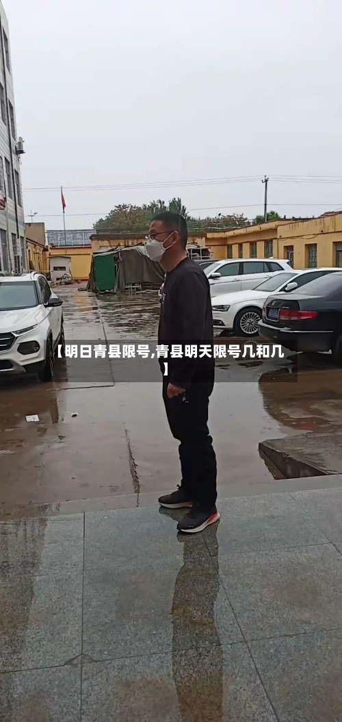 【明日青县限号,青县明天限号几和几】