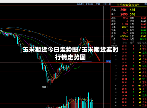 玉米期货今日走势图/玉米期货实时行情走势图