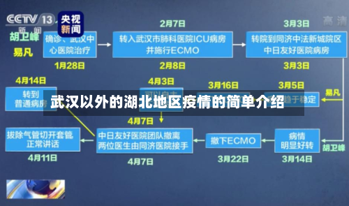 武汉以外的湖北地区疫情的简单介绍
