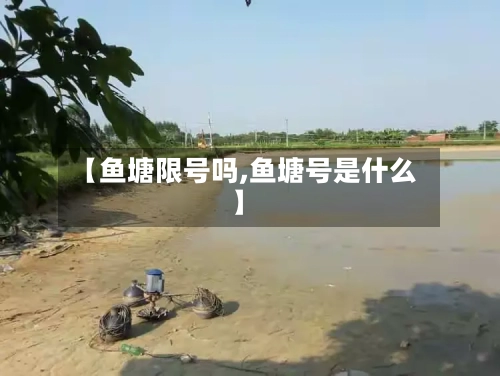 【鱼塘限号吗,鱼塘号是什么】
