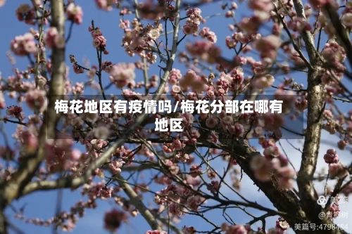 梅花地区有疫情吗/梅花分部在哪有地区
