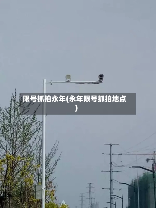 限号抓拍永年(永年限号抓拍地点)
