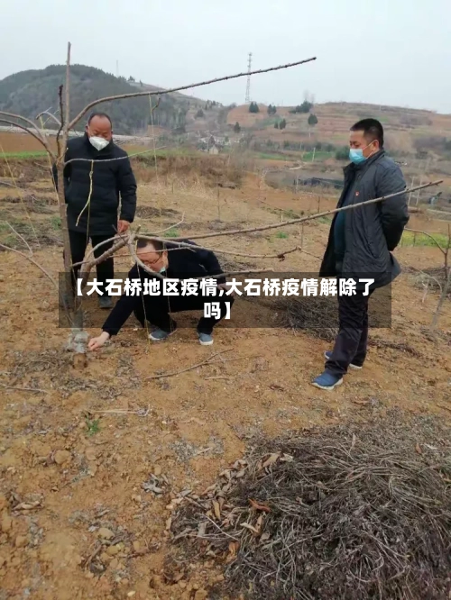 【大石桥地区疫情,大石桥疫情解除了吗】