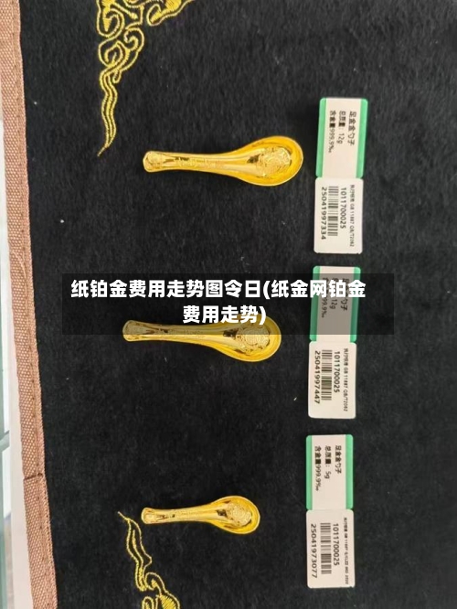 纸铂金费用走势图令日(纸金网铂金费用走势)