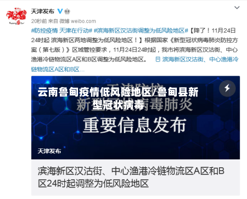 云南鲁甸疫情低风险地区/鲁甸县新型冠状病毒