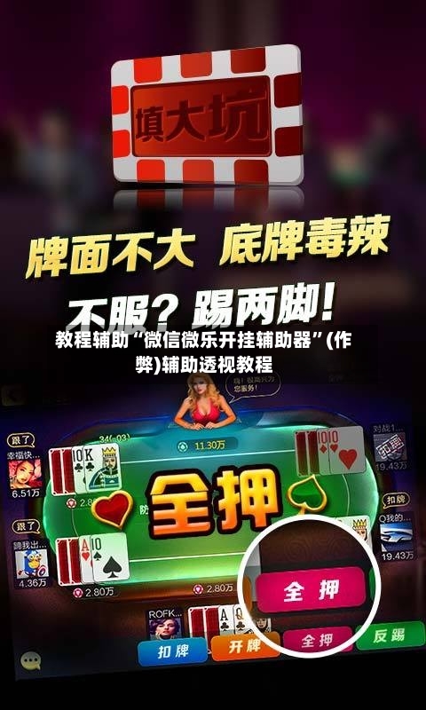 教程辅助“微信微乐开挂辅助器”(作弊)辅助透视教程