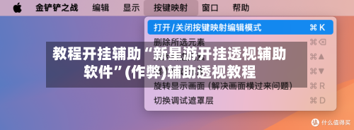 教程开挂辅助“新星游开挂透视辅助软件”(作弊)辅助透视教程