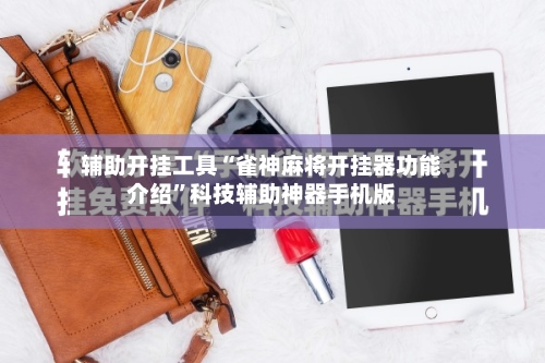 辅助开挂工具“雀神麻将开挂器功能介绍”科技辅助神器手机版