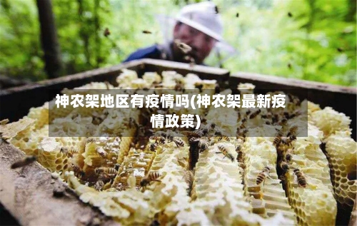 神农架地区有疫情吗(神农架最新疫情政策)