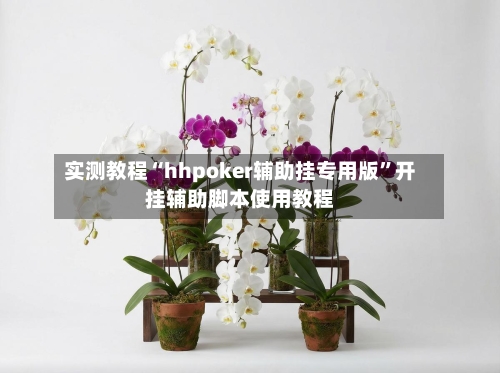 实测教程“hhpoker辅助挂专用版”开挂辅助脚本使用教程