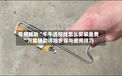 专用辅助“牛牛透视挂怎么安装免费”万能辅助详细步骤与使用技巧
