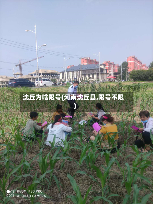 沈丘为啥限号(河南沈丘县,限号不限)