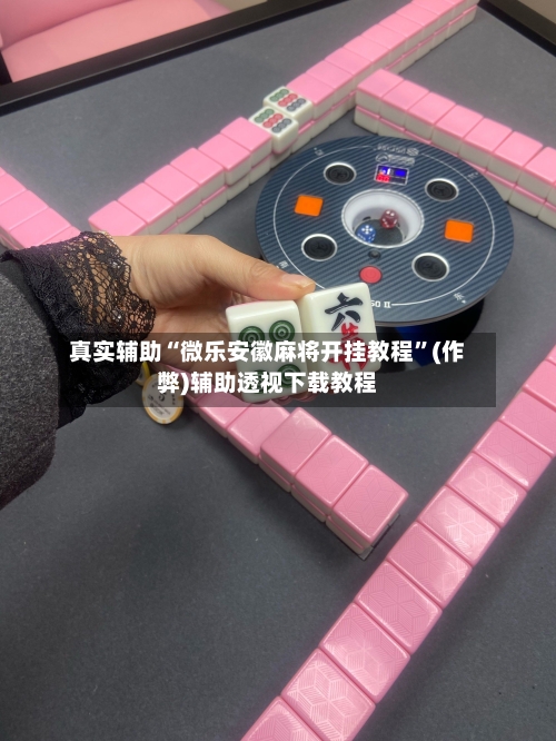 真实辅助“微乐安徽麻将开挂教程”(作弊)辅助透视下载教程