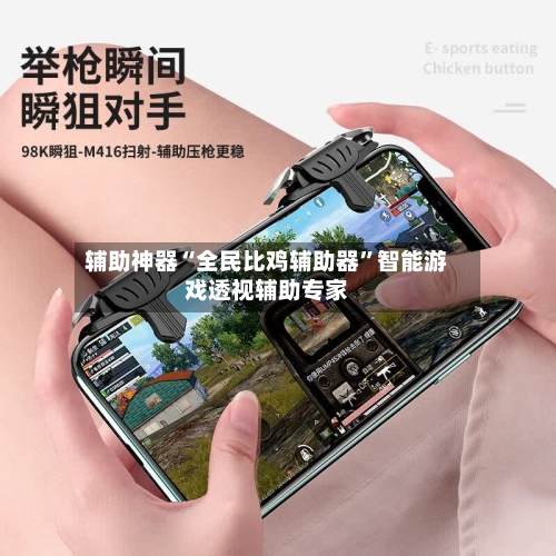 辅助神器“全民比鸡辅助器”智能游戏透视辅助专家