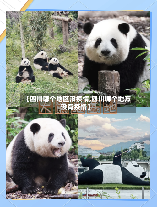 【四川哪个地区没疫情,四川哪个地方没有疫情】