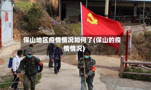 保山地区疫情情况如何了(保山的疫情情况)