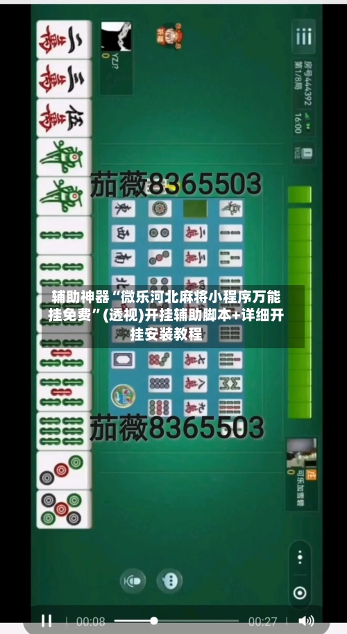 辅助神器“微乐河北麻将小程序万能挂免费”(透视)开挂辅助脚本+详细开挂安装教程